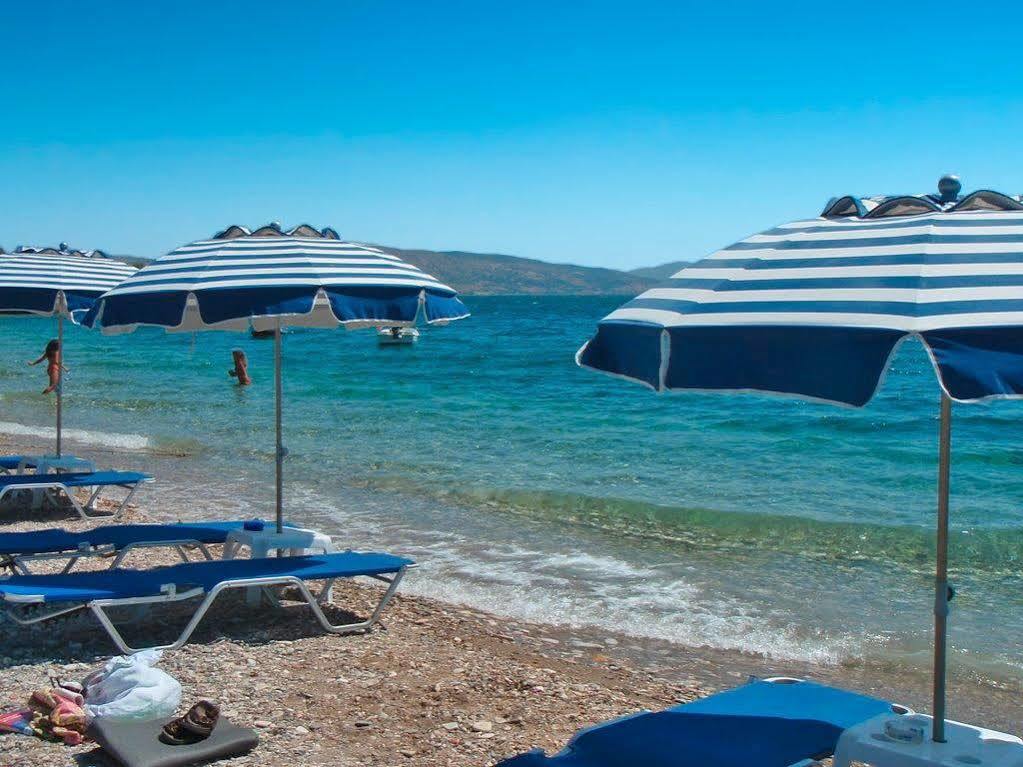 Hotel Venetia Ireo  Eksteriør bilde